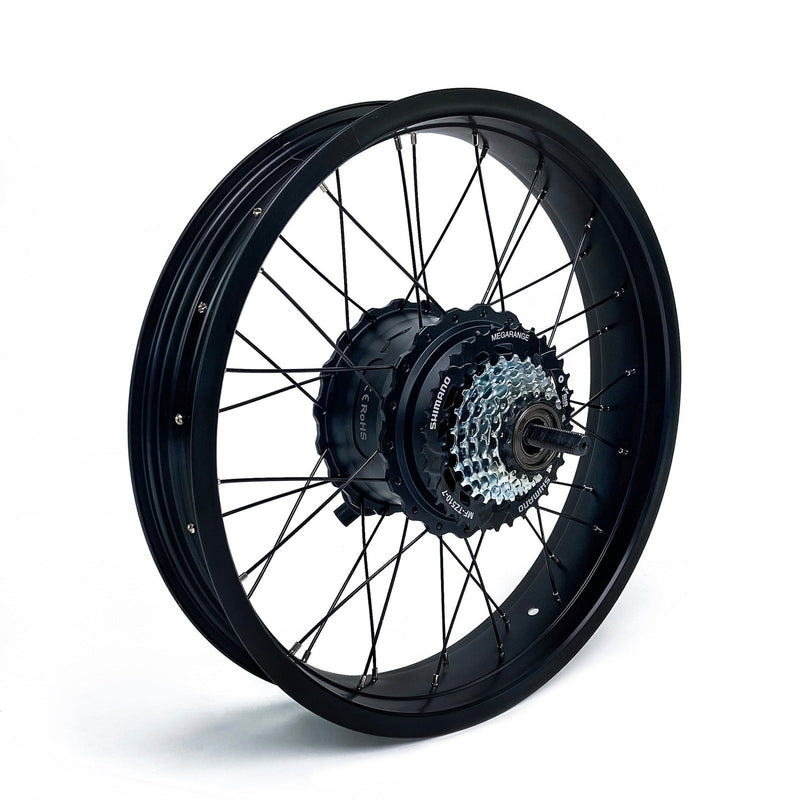 MOTOR FOR COSWHEEL EBIKE - Backyard Provider