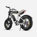 ENGWE M20 48V 13Ah/26Ah 750W All-Terrain Electric Bike - Backyard Provider