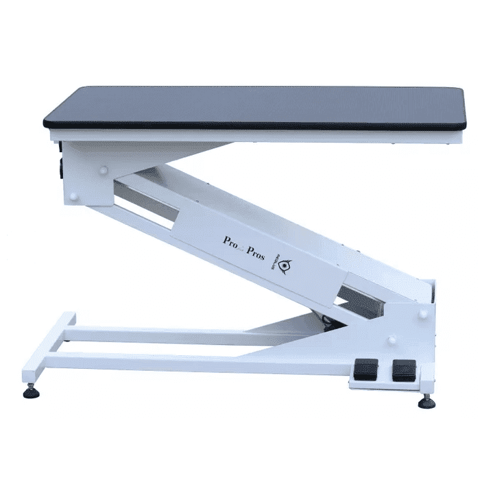 Aeolus Big Z Electric Lift Grooming Table - AE-FT-898