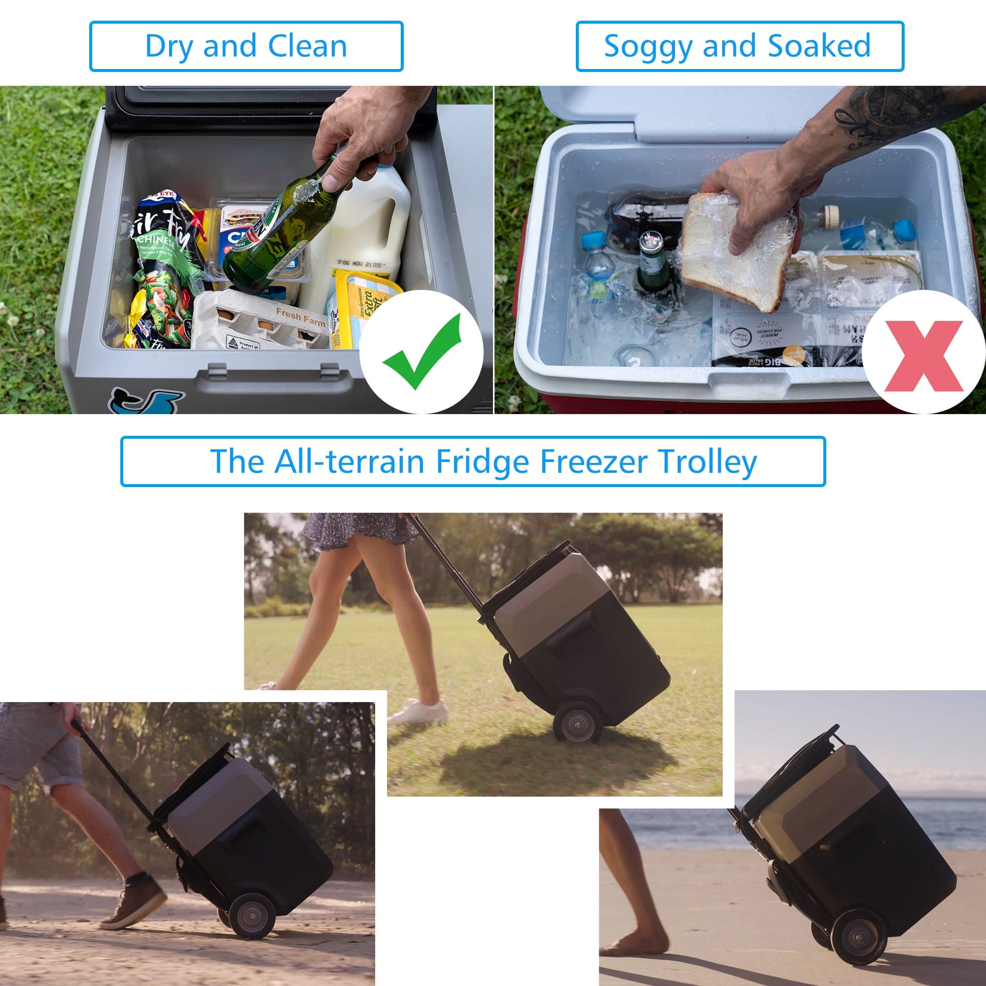 ACOPOWER LionCooler Pro Portable Solar Fridge Freezer, 52 Quarts - HY-PX50