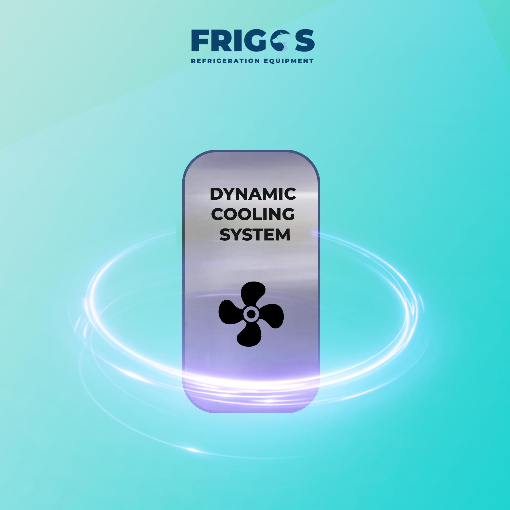 Frigos 54" Commercial Reach-In Refrigerator, 2 Solid Doors, 47 Cu Ft, Aluminum Interior, Stainless Steel Floor – FG-RF-2D
