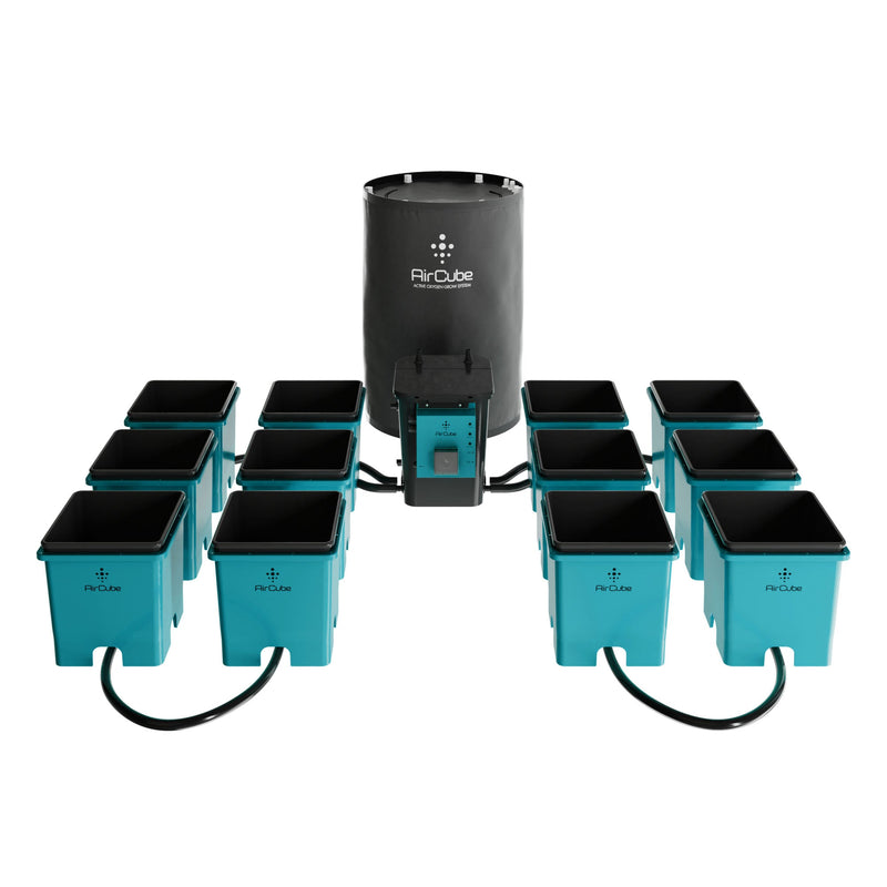 AirCube Active Oxygen Ebb & Flow Grow System - 12 Site - Backyard Provider