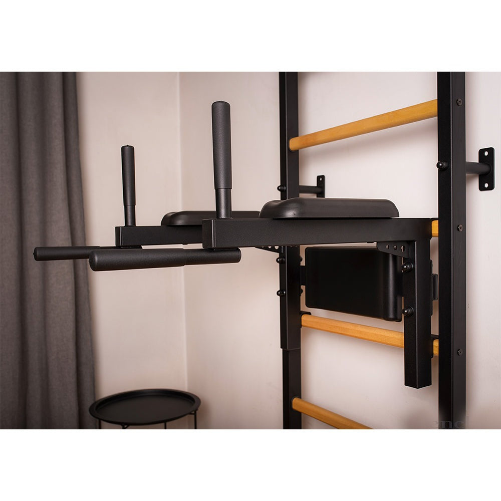 BenchK Swedish Ladder w/ Dip Bar - Black