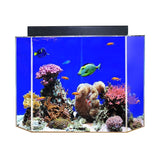 Clear for Life Acrylic UniQuarium Pentagon Aquarium - 50 Gallon - UNI-PENT-50-Sapphire