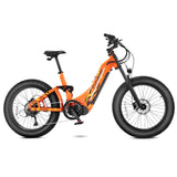 Cyrusher Sport Trax Step-Through All Terrain Air Shock Full Suspension