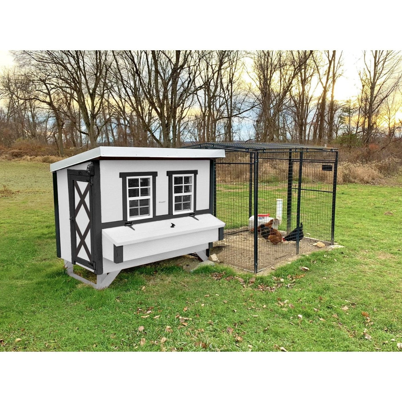 EZ Coop Large Chicken Coop - Up to 15 Chickens - 44OEZCKP - Backyard Provider