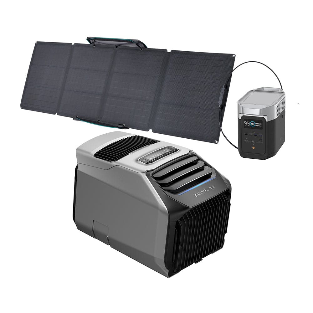 EcoFlow WAVE 2 Portable AC + DELTA 2 + 110W Portable Solar Panel