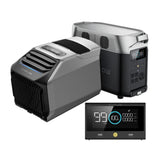 EcoFlow WAVE 2 Portable AC + DELTA Pro + DELTA Pro Remote Control