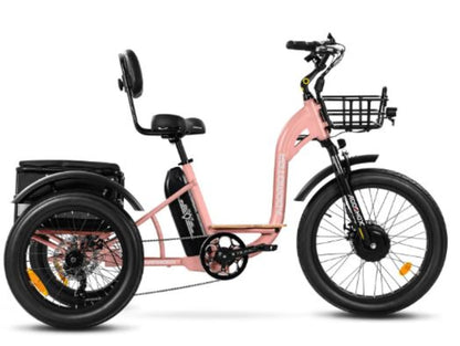 Addmotor 750W Grandtan City 3 Wheel Fat Tire Electric Bike - EB-ADD-GTAN-NEP