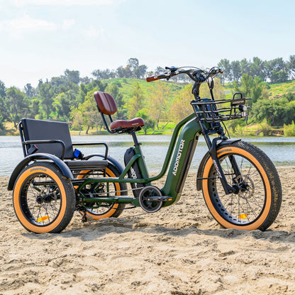 Addmotor 750W 48V Greattan Trike Fat Tire Electric Bike - EB-ADD-GT-NBL