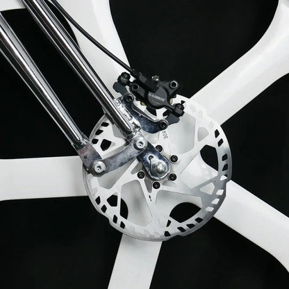 Tracer 800W 48V Raptor Pro DS Chopper Stretch Cruiser Fat Tire Electric Bike - EB-MB-RAPTOR PRO DS-WHI/WHI