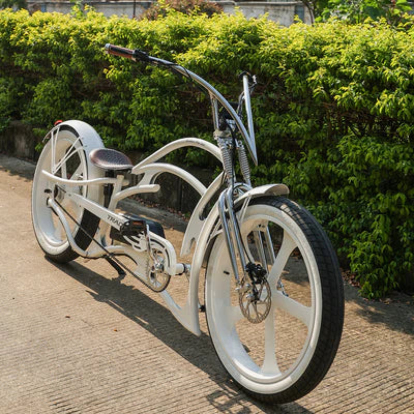 Tracer 800W 48V Raptor Pro DS Chopper Stretch Cruiser Fat Tire Electric Bike - EB-MB-RAPTOR PRO DS-WHI/WHI