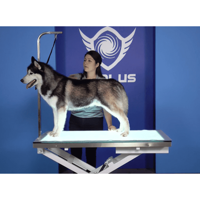 Aeolus LED Electric Lift Grooming Table - AE-FT-829