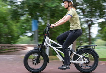 Fucare Scorpio Sport Dual Motor Full Suspension Ebike - SCORPIO-GR-SS