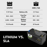 PowerTex 2010 BMW 535i xDrive Car Battery BCI Group 49 / H8 Replacement Lithium LiFePO4 Automotive Battery