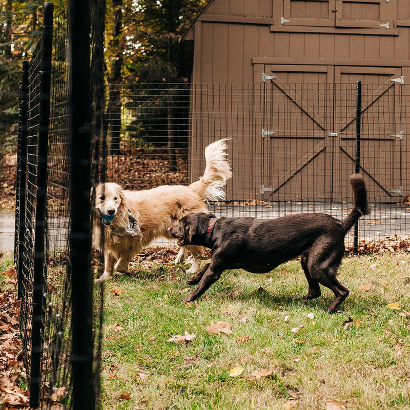 Dog Proofer Freestanding DIY Dog Fence System