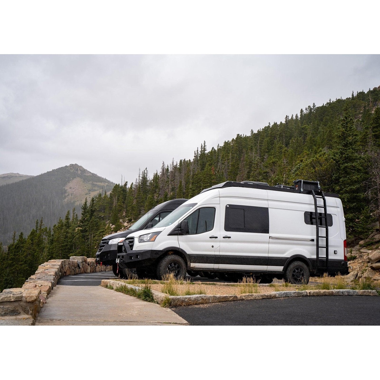 Backwoods Ford Transit 2015+ DRIFTR Ladder