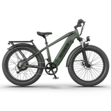 Aostirmotor KING 1000W 52V All-Terrain Fat Tire Electric Bike