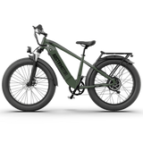 Aostirmotor KING 1000W 52V All-Terrain Fat Tire Electric Bike