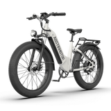 Aostirmotor QUEEN 1000W 52V All Terrain Step-Thru Fat Tire Electric Bike