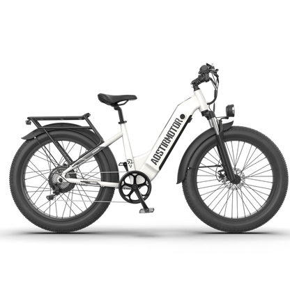 Aostirmotor QUEEN 1000W 52V All Terrain Step-Thru Fat Tire Electric Bike