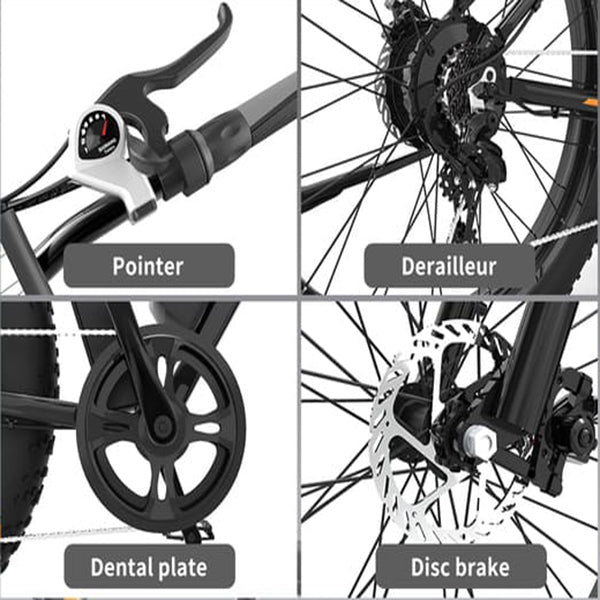 Aostirmotor S07-B 48V/13Ah 750W Fat Tire Electric Mountain Bike