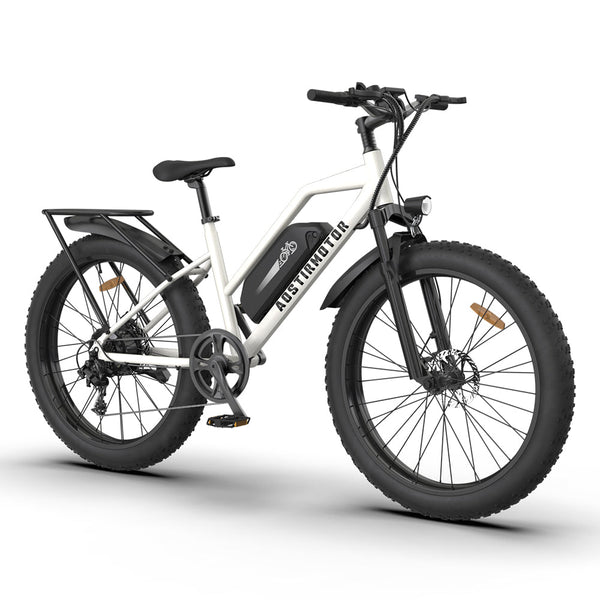 Aostirmotor S07-G 48V/13Ah 750W Electric Commuter Bike