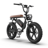 Aostirmotor Storm 750W 48V Fat Tire Electric Bike