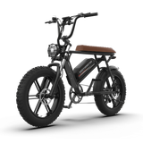 Aostirmotor Storm 750W 48V Fat Tire Electric Bike