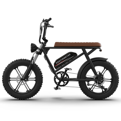 Aostirmotor Storm 750W 48V Fat Tire Electric Bike
