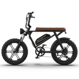 Aostirmotor Storm 750W 48V Fat Tire Electric Bike