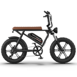 Aostirmotor Storm 750W 48V Fat Tire Electric Bike