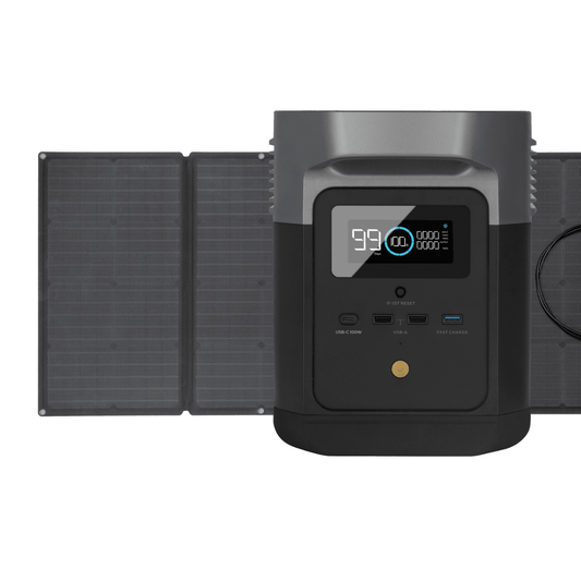 EcoFlow DELTA mini + 160W Solar Panel - DELTAminiUS161