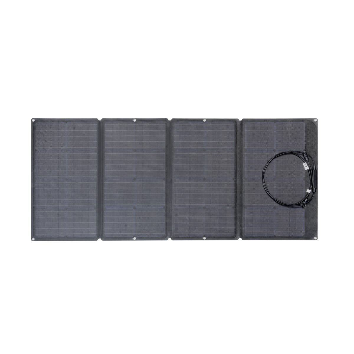 EcoFlow RIVER Pro + 1x 160W Solar Panel - RIVERAMPROSP161