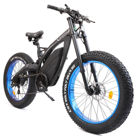 Ecotric Bison 48v 17.6AH 1000W Fat Tire Electric Bike, Matte Black - NS-SON26LCD-BL