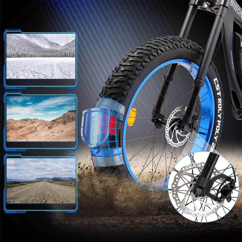 Ecotric Bison 48v 17.6AH 1000W Fat Tire Electric Bike, Matte Black - NS-SON26LCD-BL