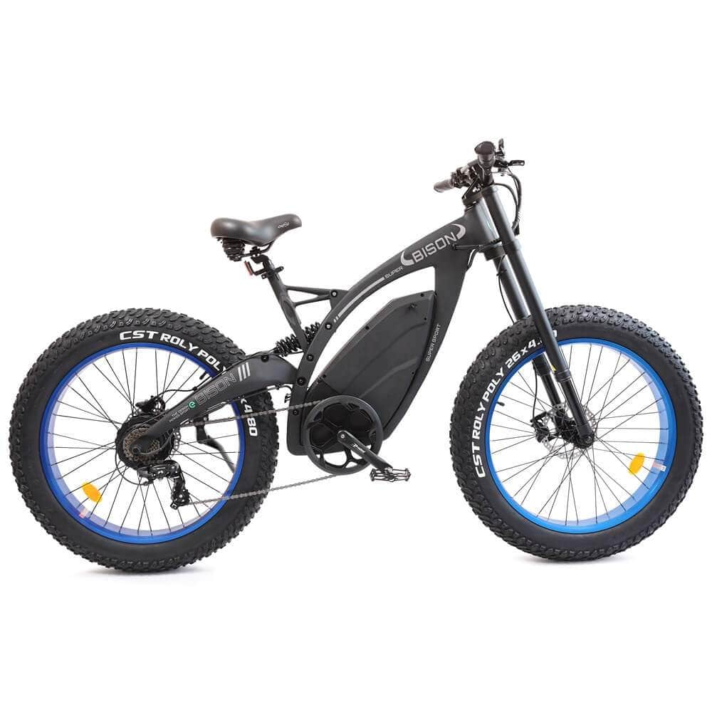 Ecotric Bison 48v 17.6AH 1000W Fat Tire Electric Bike, Matte Black - NS-SON26LCD-BL