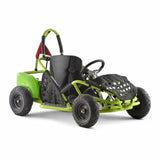 PFW Go-Bowen BAJA X Baha 1000W 48V Electric Go-Kart, 99% Assembled, Steel Frame