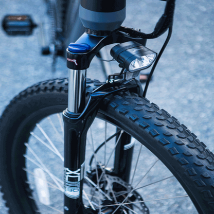 Surface 604 500W Shred Electric Mountain Bike - EB-SHRED-L-BLK-10