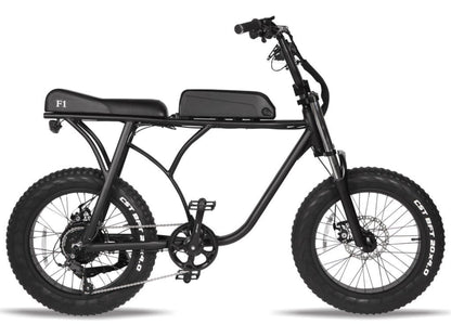 T4B 500W SuperFun Fat Tire Electric Bike - EB-500WSPRFUN