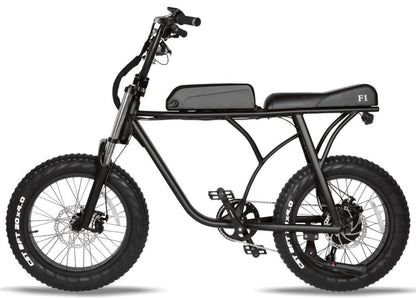 T4B 500W SuperFun Fat Tire Electric Bike - EB-500WSPRFUN