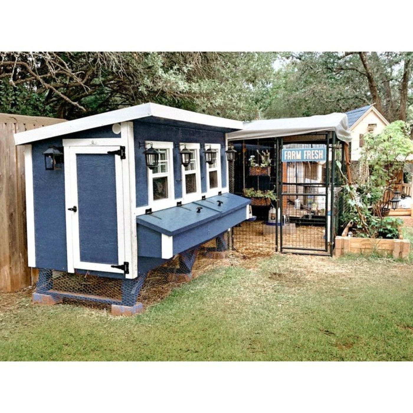 OverEZ® XL Chicken Coop Kit up to 20 chickens