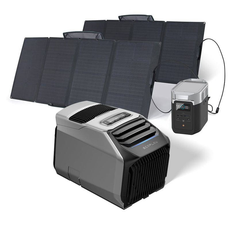 EcoFlow WAVE 2 Portable AC + DELTA 2 + 160W Portable Solar Panel